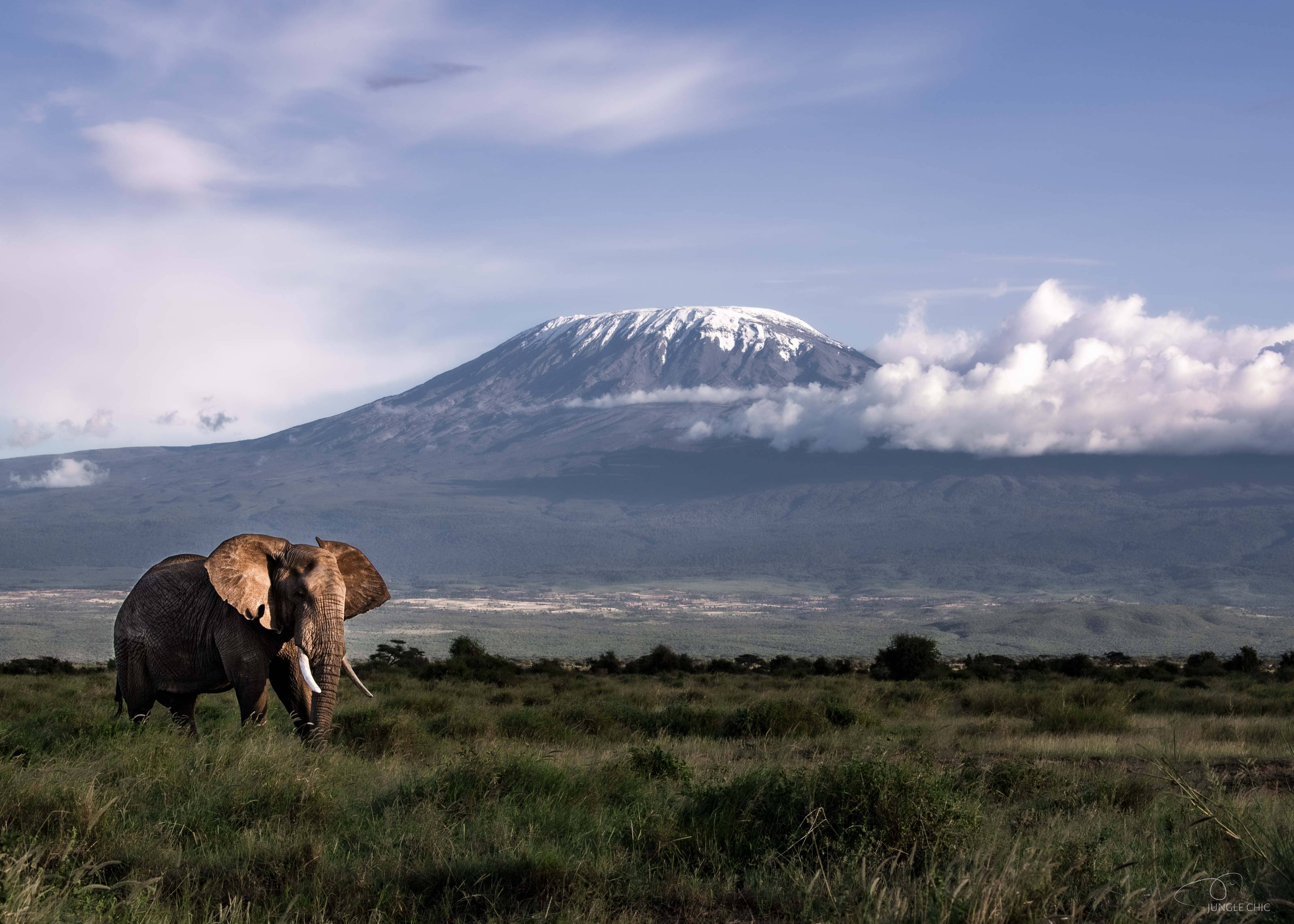 Amboseli 2