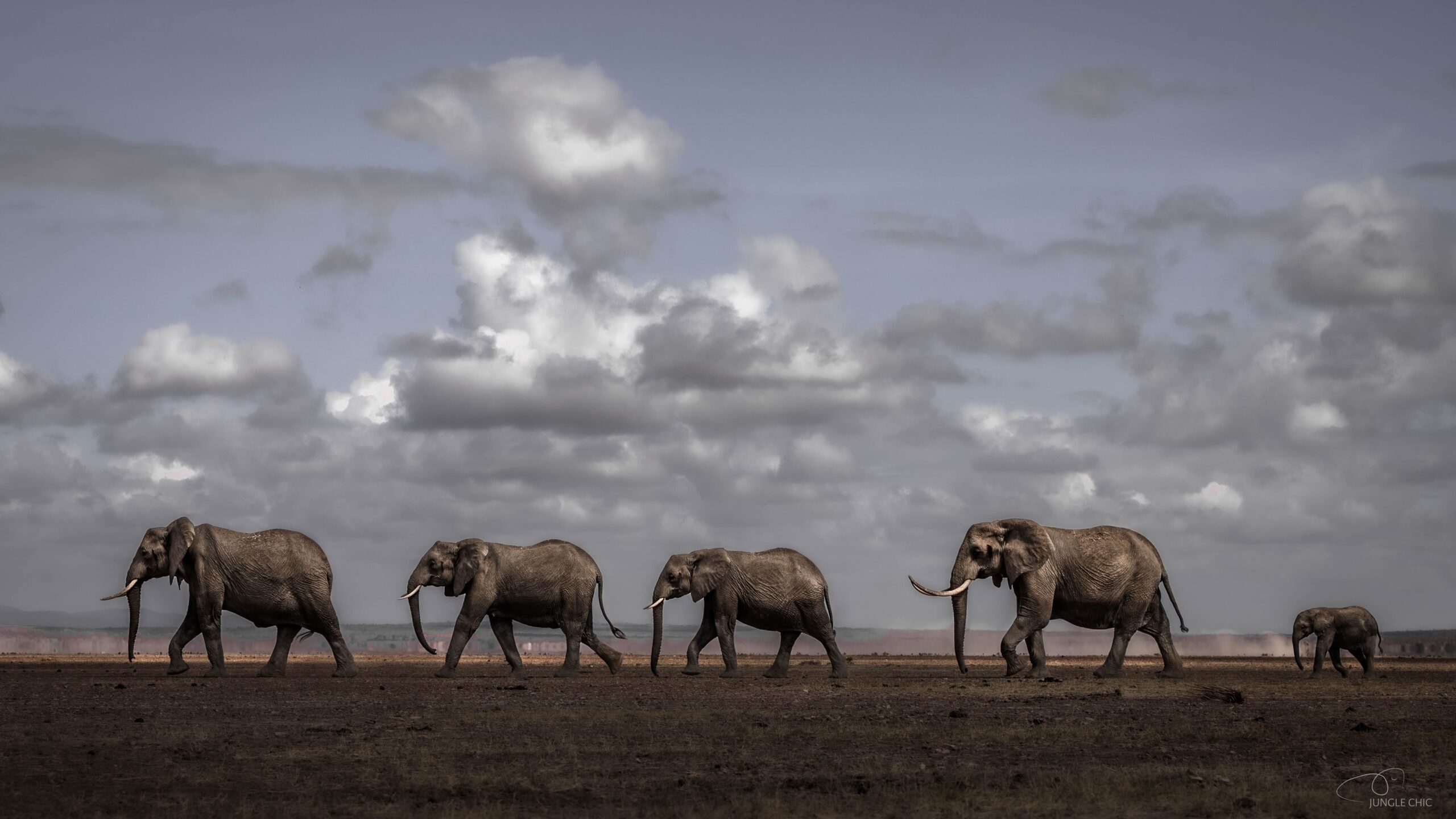 Amboseli 3